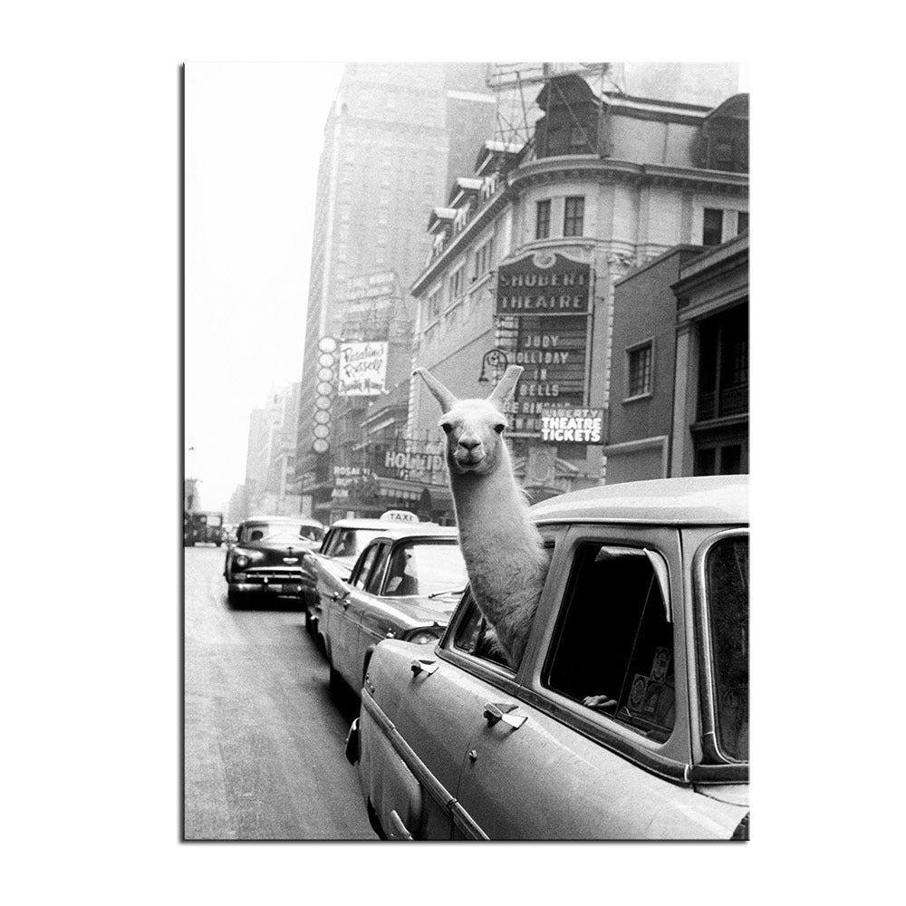 The Alpaca | Abstract Animal Canvas Wall Art